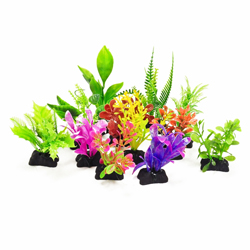 PROFIT POWER PACK PLANTS