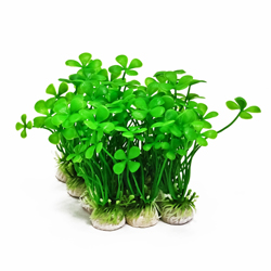 PROFIT POWER PACK CLOVER