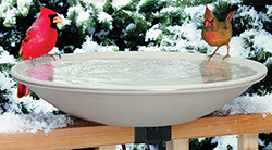 HEATED BIRD BATH