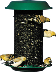 Magnum Sunflower Bird Feeder