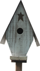 STARGAZER ON A STICK BIRD HOUSE