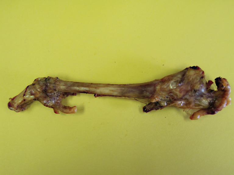 SMOKED LAMB TROTTER