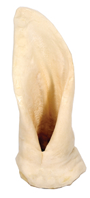 PUFFED LAMB EAR DOG TREAT