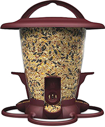 DINE SEED FEEDER