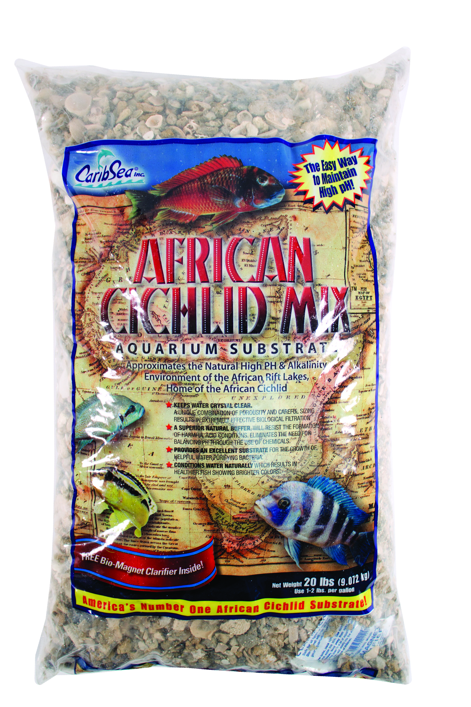 AFRICAN CICHLID MIX