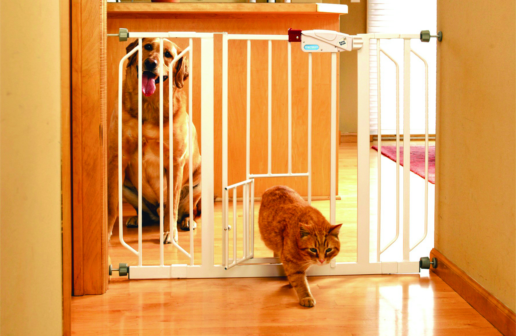 EXTRA WIDE WALK-THRU GATE WITH PET DOOR