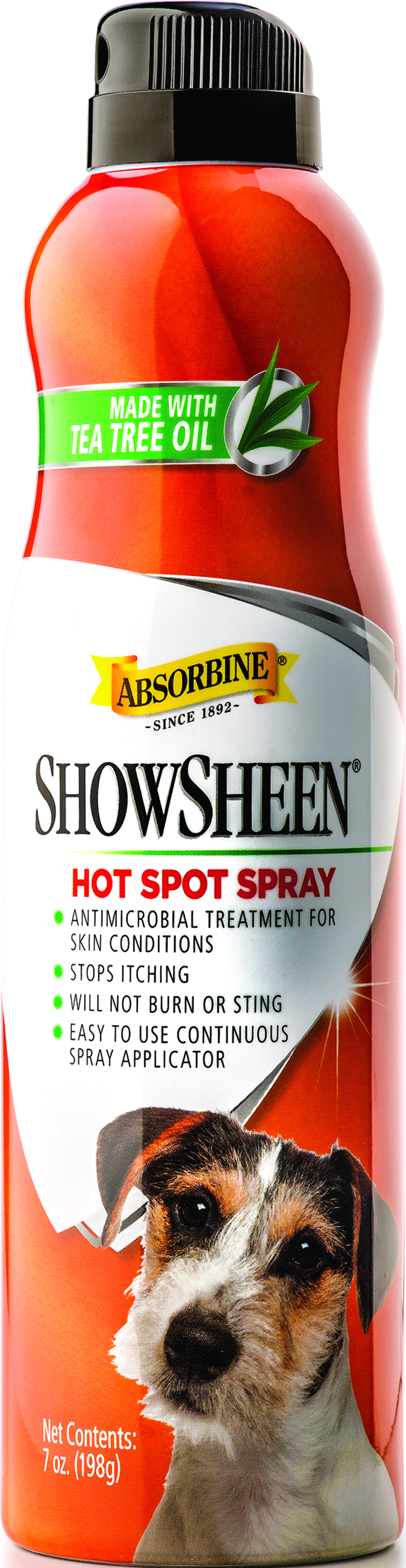 SHOWSHEEN DOG HOT SPOT