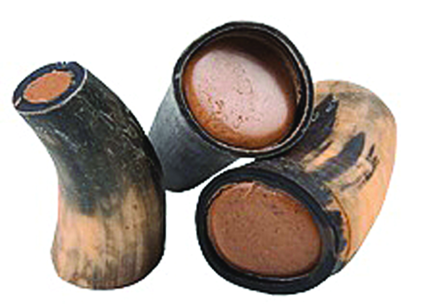 PEANUT BUTTER FILLED BEEF HORN