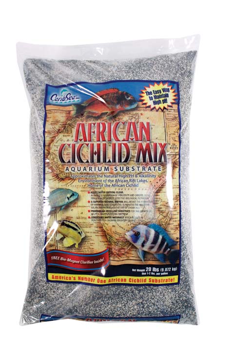 AFRICAN CICHLID MIX