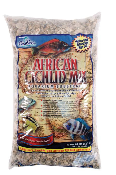 AFRICAN CICHLID MIX