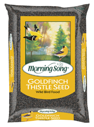 MORNING SONG GOLDFINCH THISTLE SEED