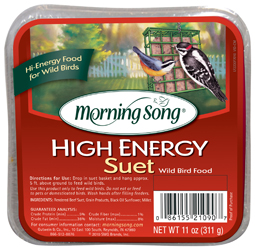 MORNING SONG HIGH ENERGY SUET WILD BIRD FOOD