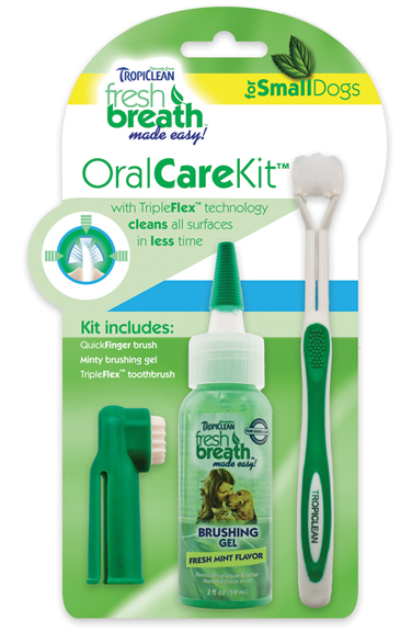 FRESH BREATH ORAL CARE KIT