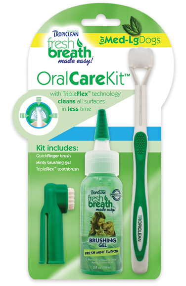 FRESH BREATH ORAL CARE KIT