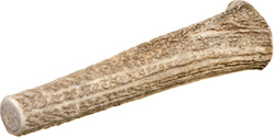 SOLID ANTLER DOG CHEW