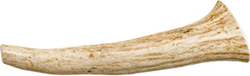 SOLID ANTLER DOG CHEW