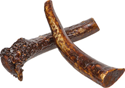 SOLID BULLY ANTLER