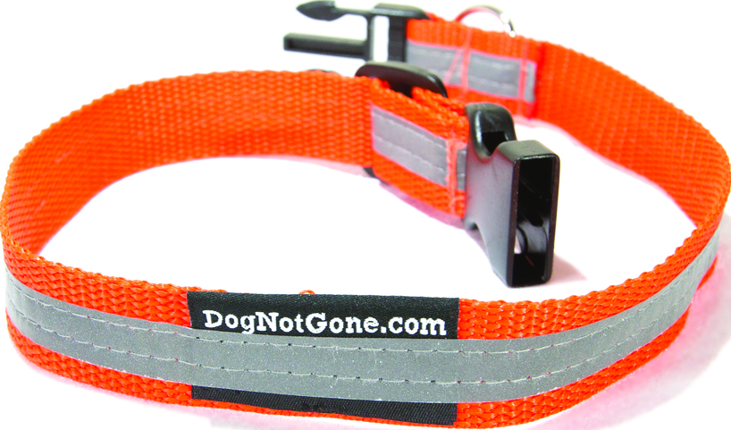 REFLECTIVE COLLAR