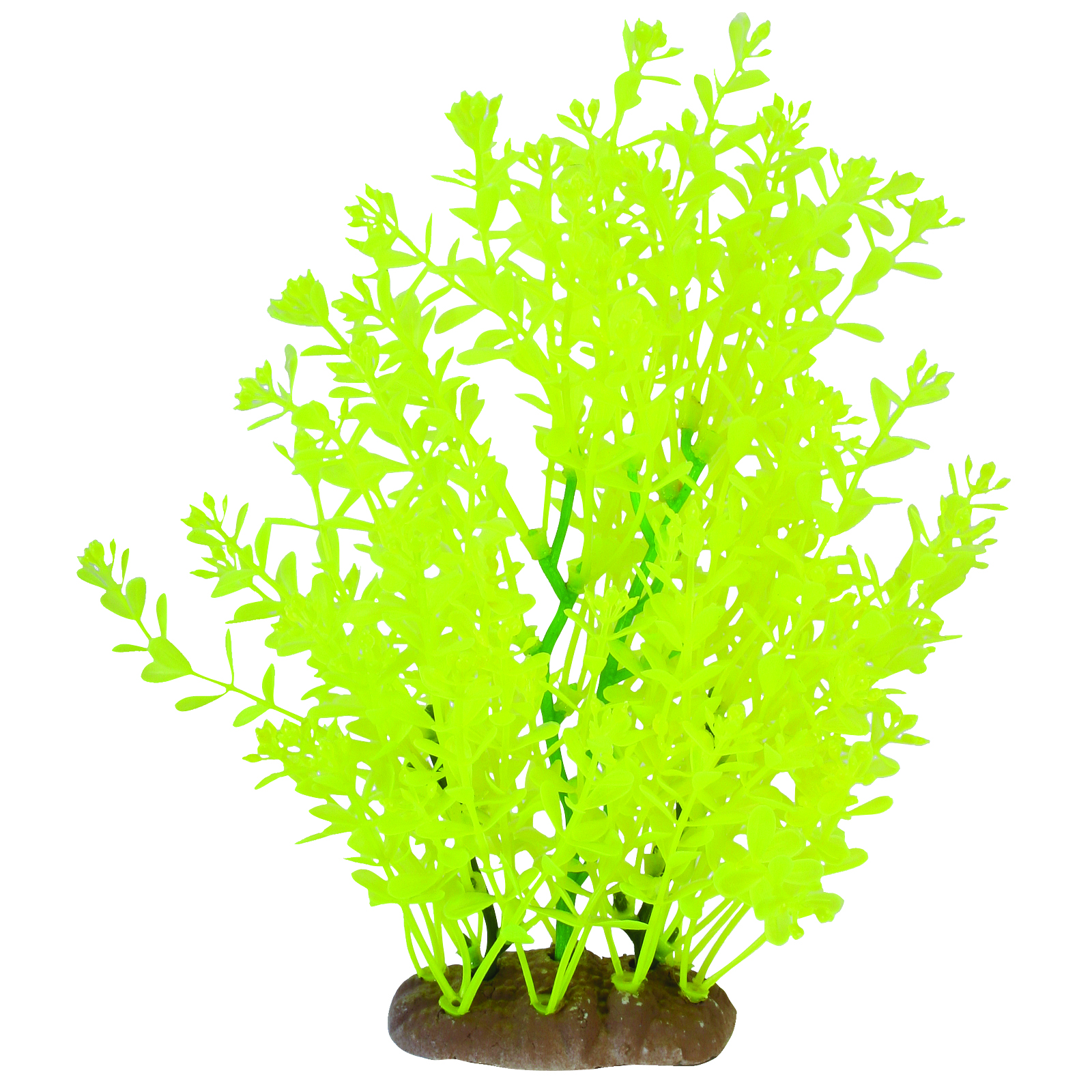 GLOW ELEMENTS LINDERNIA PLANT