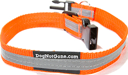 REFLECTIVE COLLAR