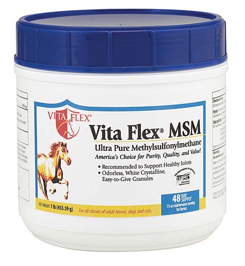 Vita Flex MSM - 1lb