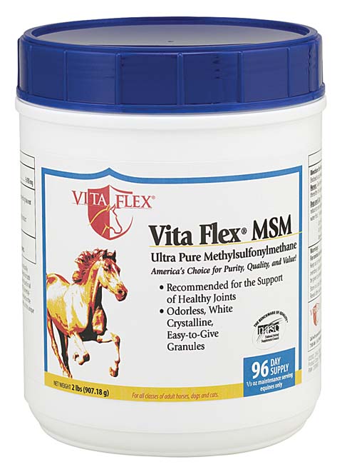 Vita Flex MSM - 2lbs