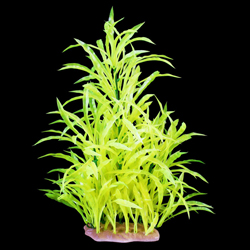 GLOW ELEMENTS POTAMOGETON LAYERED AQUARIUM BUSH
