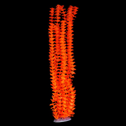 GLOW ELEMENTS TALL AMBULIA