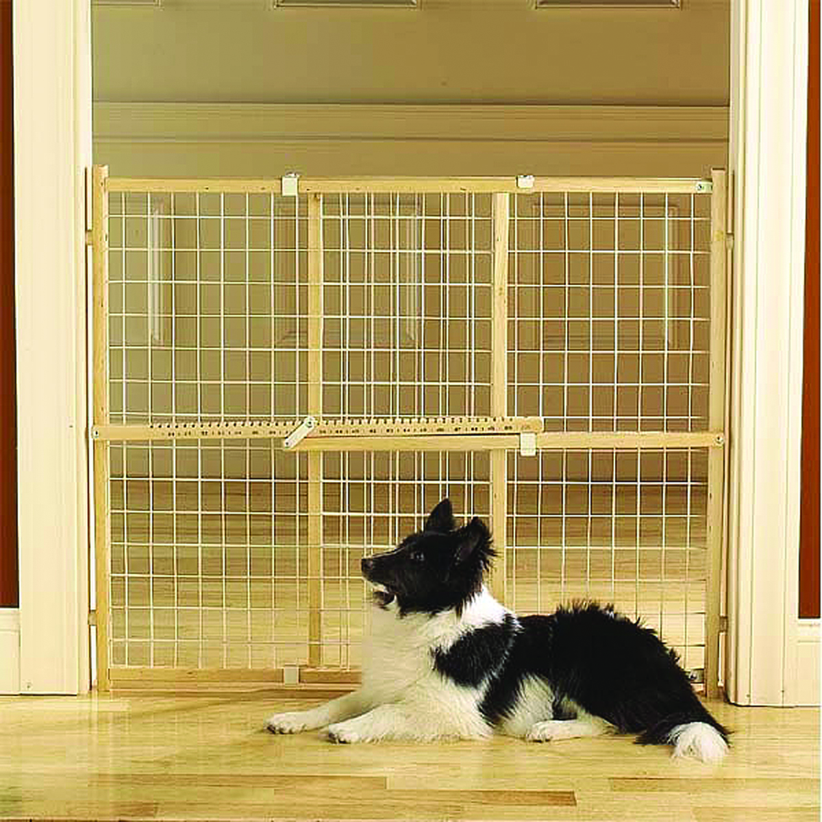 Safety Coated Dog Gate - 26-42" Wide