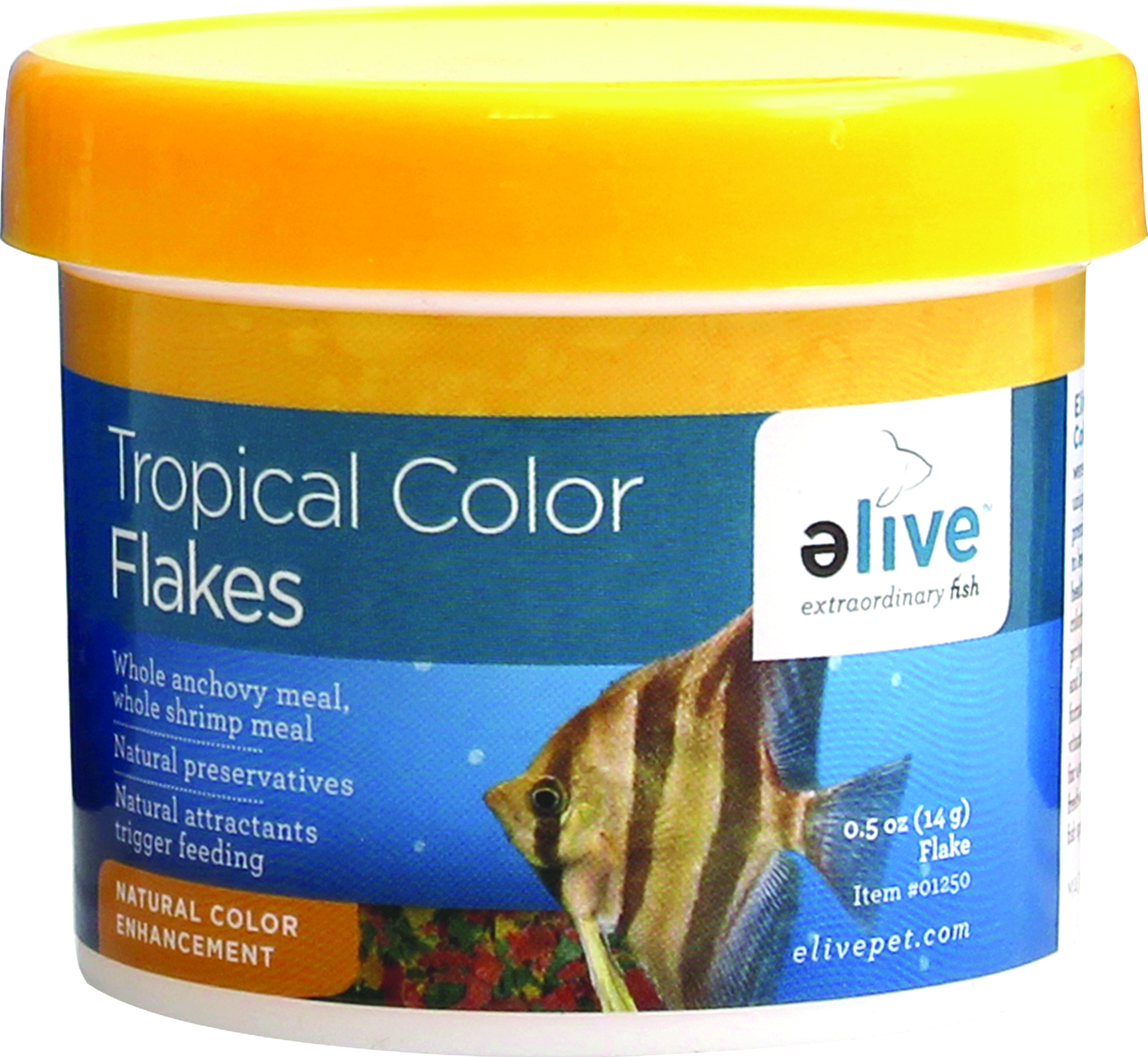 TROPICAL COLOR FLAKE