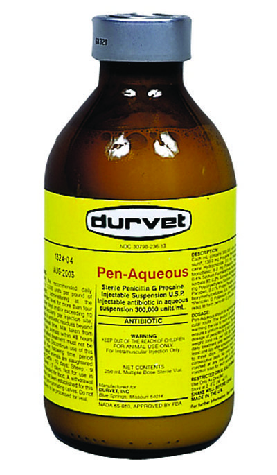 Pen-Aqueous G Procain 100 cc