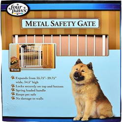 METAL WALK THRU GATE