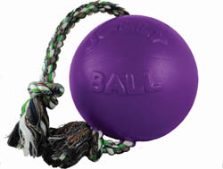ROMP-N-ROLL BALL