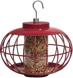 CHINESE LANTERN SEED FEEDER