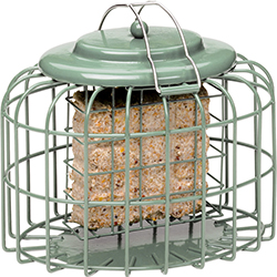 OVAL BIRD FEEDER FOR SUET CAKE