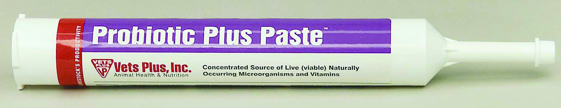 Probiotic Plus Paste  300 cc