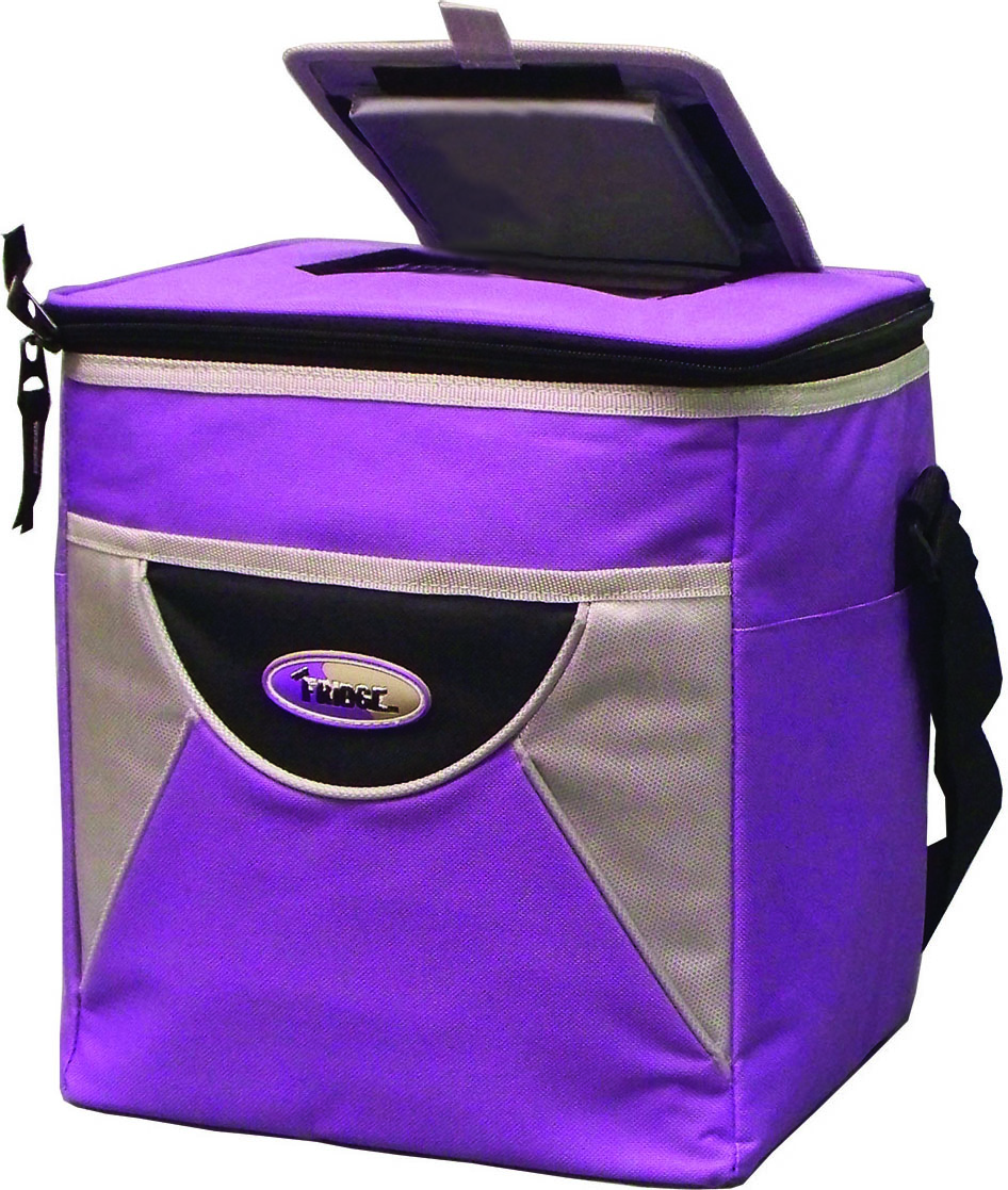 THE FRIDGE INSULATED COLLAPSIBLE POP OPEN COOLER