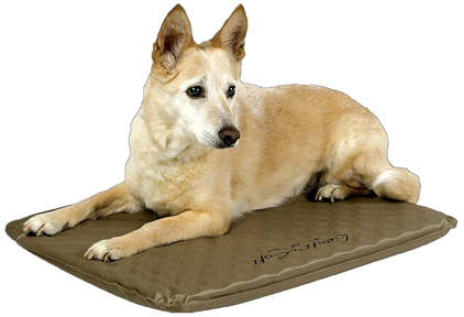 LECTRO-SOFT HEATED BED