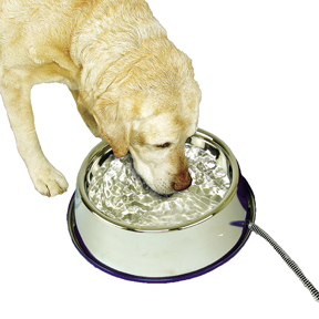 THERMAL BOWL HEATED PET BOWL