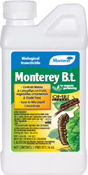 MONTEREY B.T. CONCENTRATE