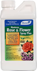MONTEREY ROSE AND FLOWER SPRAY PLUS CONCENTRATE