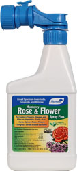 MONTEREY ROSE AND FLOWER SPRAY PLUS READY TO SPRAY