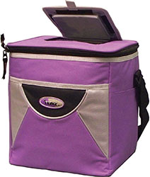THE FRIDGE INSULATED COLLAPSIBLE POP OPEN COOLER