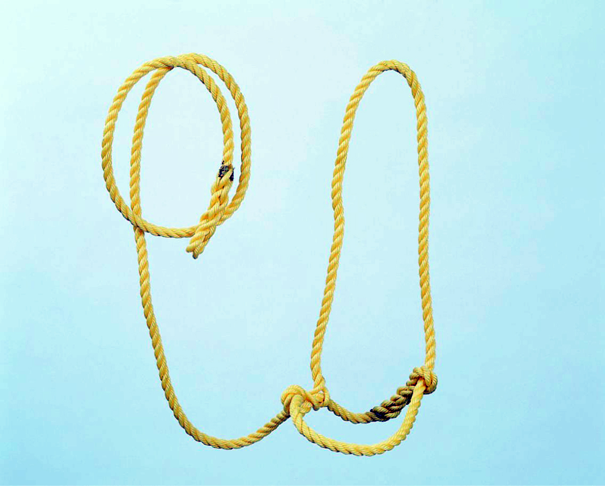 Rope Halter