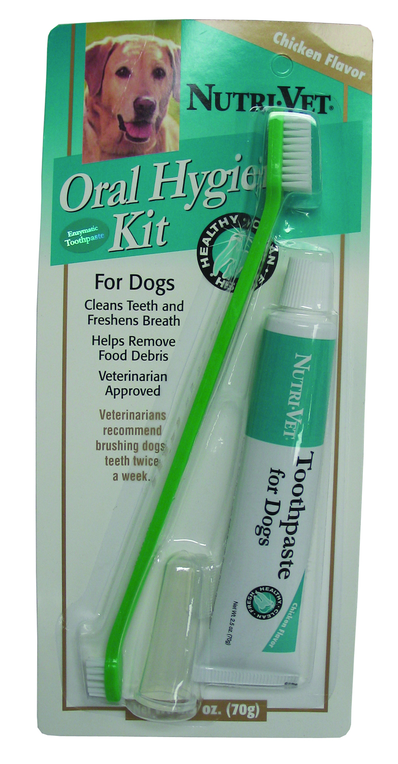 ORAL HYGIENE KIT