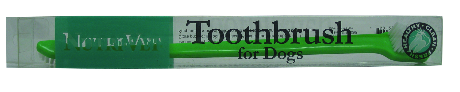 TOOTHBRUSH FOR DOGS