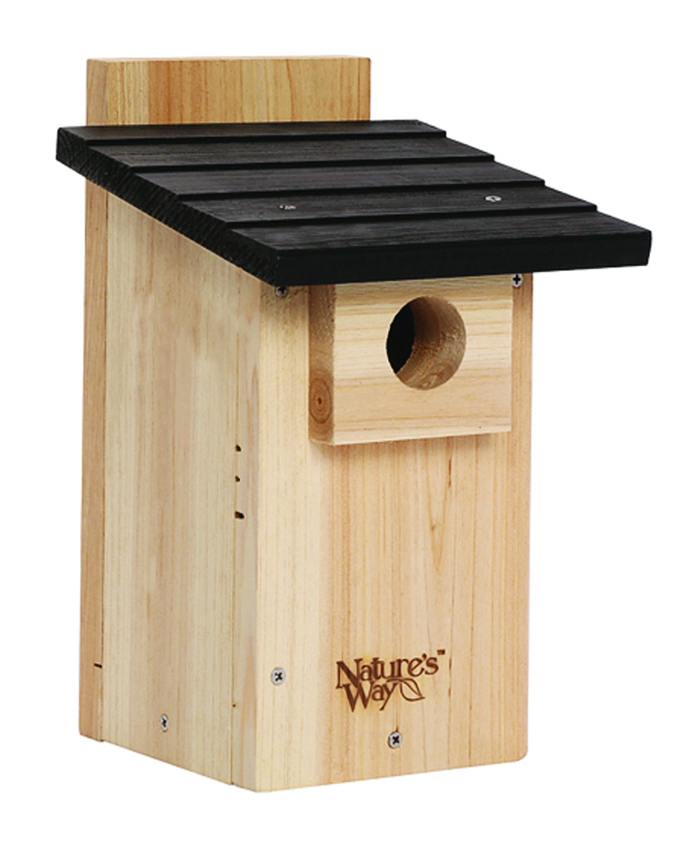 BLUEBIRD VIEWING HOUSE