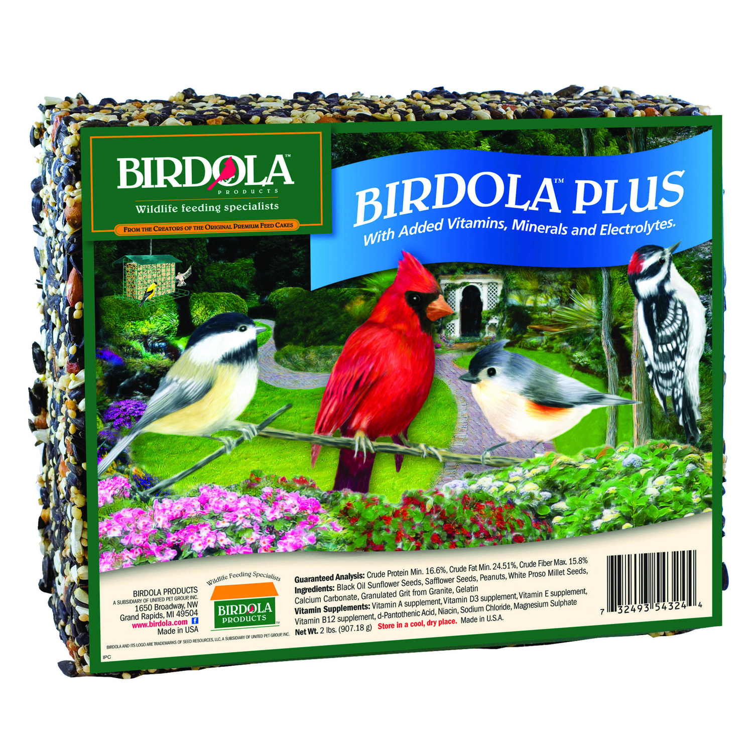 BIRDOLA PLUS CAKE