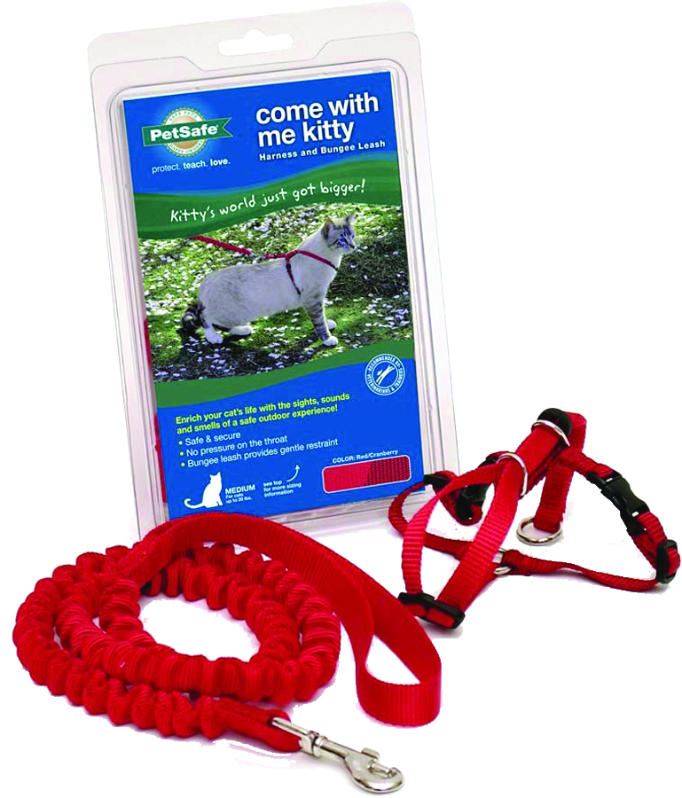 COME WITH ME KITTY HARNESS & BUNGEE LEASH