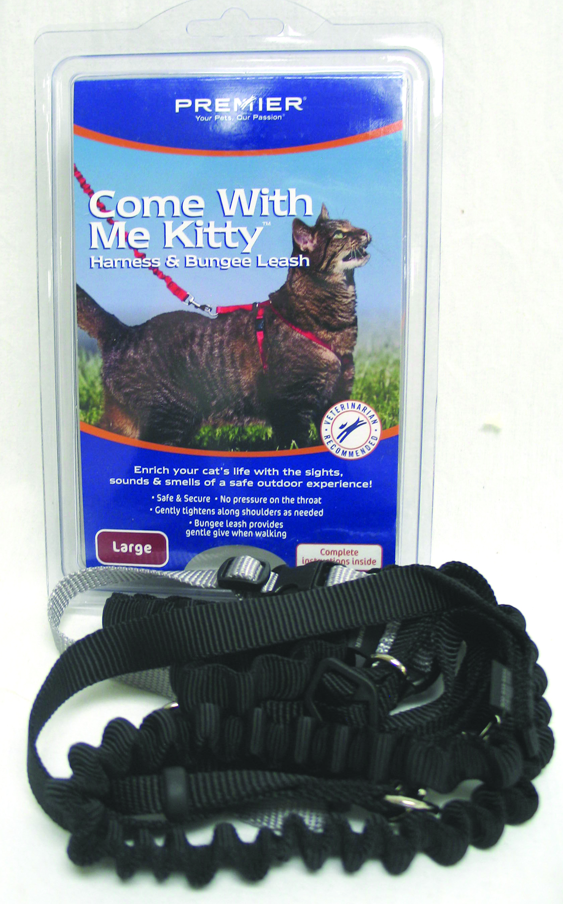 COME WITH ME KITTY HARNESS & BUNGEE LEASH